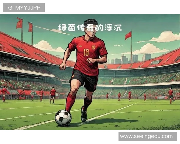 17年退役足球明星的传奇人生与场外新篇章揭秘